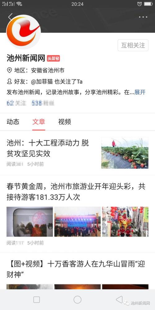 广西最新爆料新闻头条号,揭秘神秘事件背后的真相  第1张